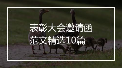 表彰大会邀请函范文精选10篇