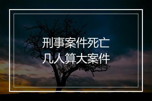 刑事案件死亡几人算大案件