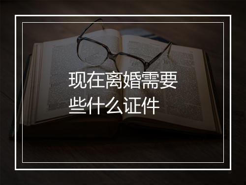 现在离婚需要些什么证件