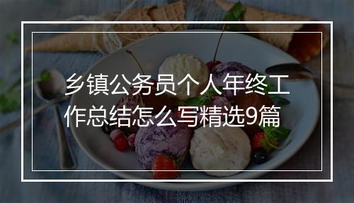 乡镇公务员个人年终工作总结怎么写精选9篇