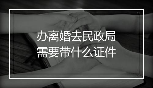 办离婚去民政局需要带什么证件