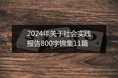 2024年关于社会实践报告800字锦集11篇