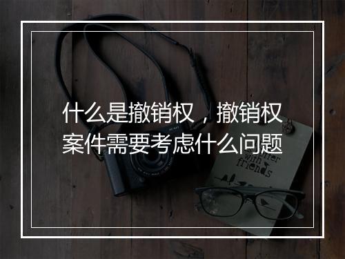 什么是撤销权，撤销权案件需要考虑什么问题