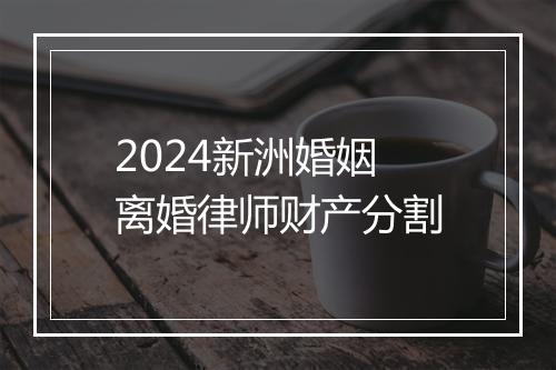 2024新洲婚姻离婚律师财产分割