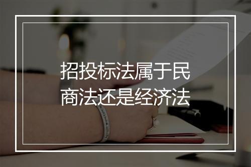 招投标法属于民商法还是经济法