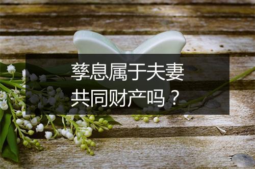 孳息属于夫妻共同财产吗？