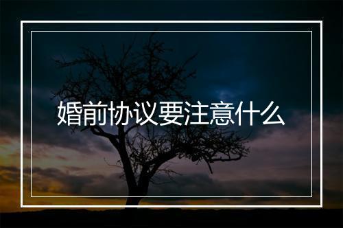 婚前协议要注意什么