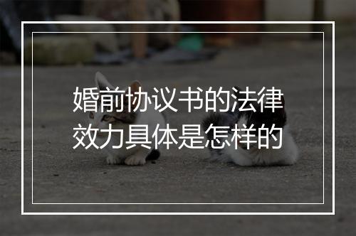 婚前协议书的法律效力具体是怎样的