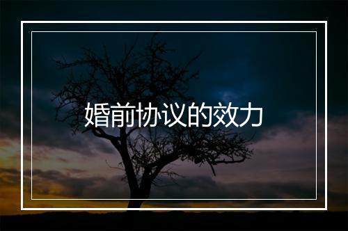 婚前协议的效力
