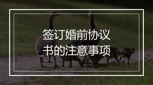 签订婚前协议书的注意事项