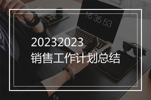 20232023销售工作计划总结