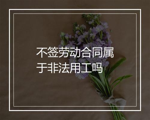 不签劳动合同属于非法用工吗