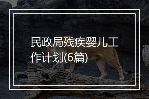 民政局残疾婴儿工作计划(6篇)