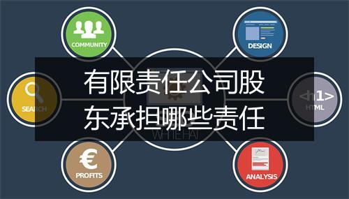 有限责任公司股东承担哪些责任