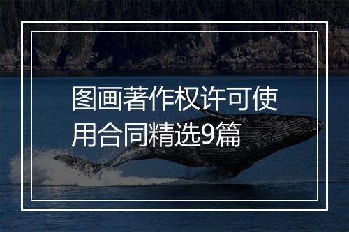 图画著作权许可使用合同精选9篇