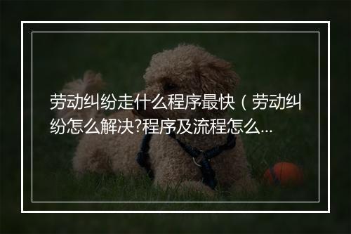 劳动纠纷走什么程序最快（劳动纠纷怎么解决?程序及流程怎么走?）