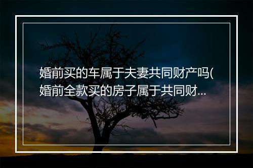 婚前买的车属于夫妻共同财产吗(婚前全款买的房子属于共同财产吗)