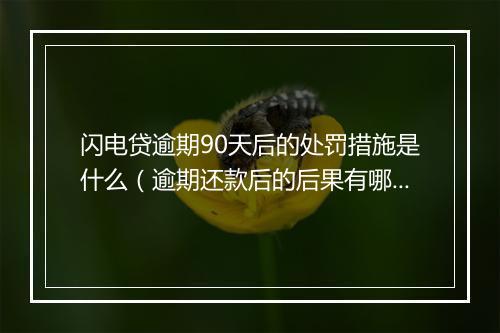 闪电贷逾期90天后的处罚措施是什么（逾期还款后的后果有哪些）
