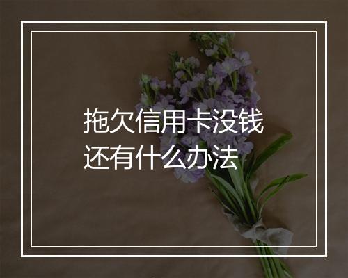 拖欠信用卡没钱还有什么办法