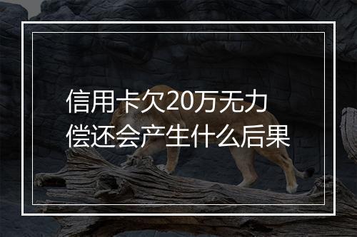 信用卡欠20万无力偿还会产生什么后果