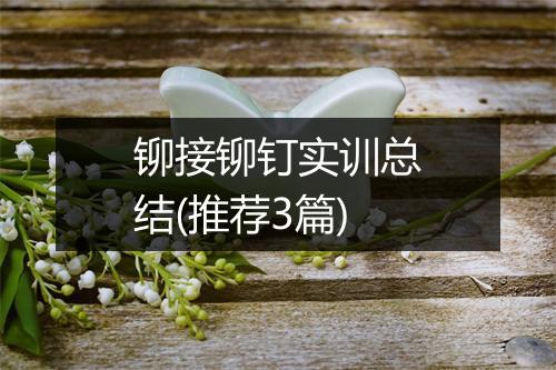 铆接铆钉实训总结(推荐3篇)