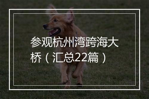 参观杭州湾跨海大桥（汇总22篇）