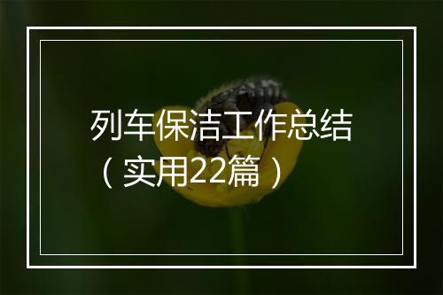 列车保洁工作总结（实用22篇）