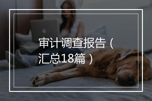 审计调查报告（汇总18篇）