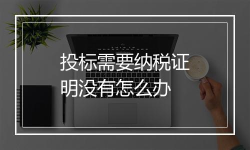 投标需要纳税证明没有怎么办