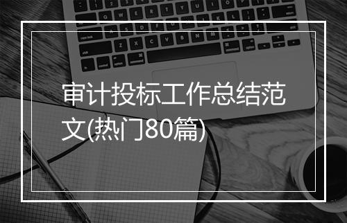 审计投标工作总结范文(热门80篇)