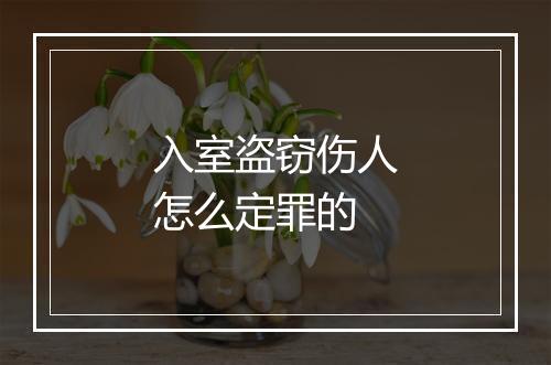 入室盗窃伤人怎么定罪的