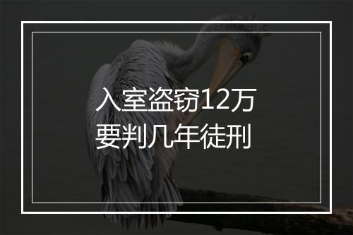 入室盗窃12万要判几年徒刑