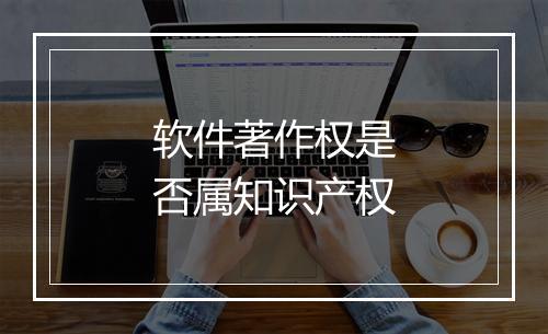 软件著作权是否属知识产权