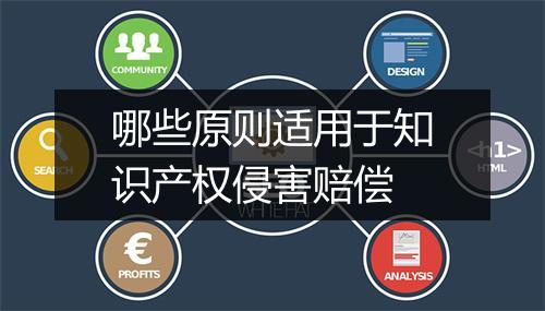 哪些原则适用于知识产权侵害赔偿