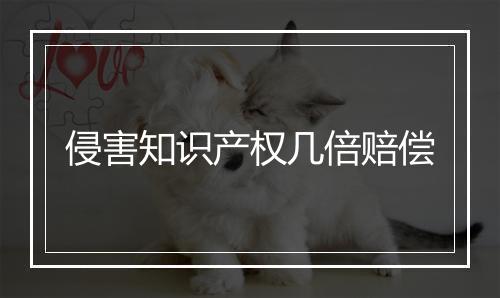 侵害知识产权几倍赔偿
