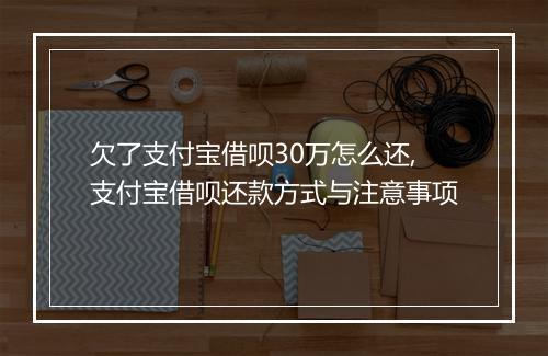 欠了支付宝借呗30万怎么还,支付宝借呗还款方式与注意事项