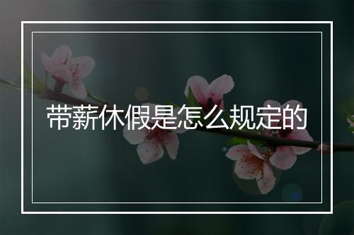 带薪休假是怎么规定的
