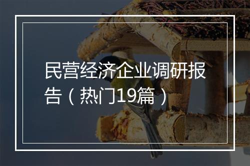 民营经济企业调研报告（热门19篇）