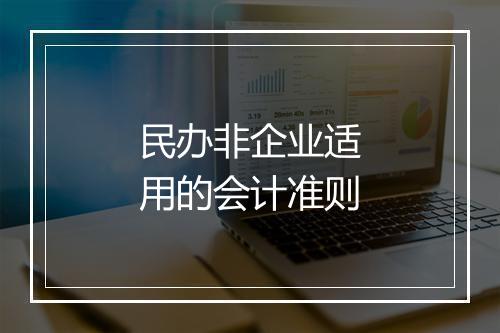 民办非企业适用的会计准则