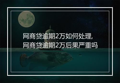 网商贷逾期2万如何处理,网商贷逾期2万后果严重吗