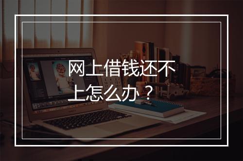 网上借钱还不上怎么办？