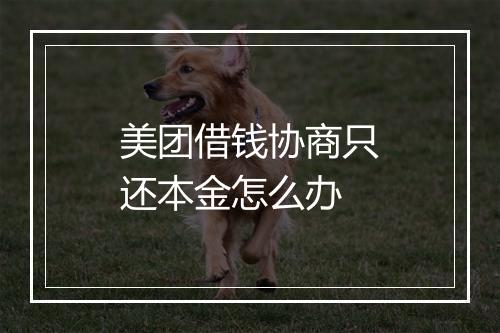 美团借钱协商只还本金怎么办