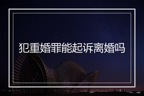犯重婚罪能起诉离婚吗