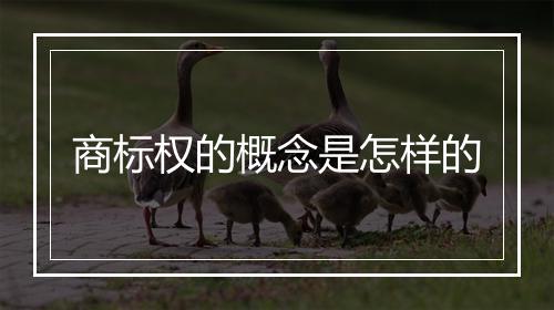 商标权的概念是怎样的