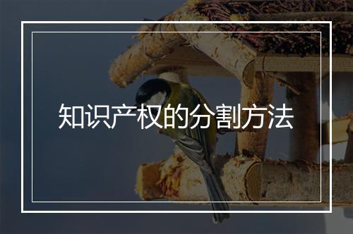 知识产权的分割方法