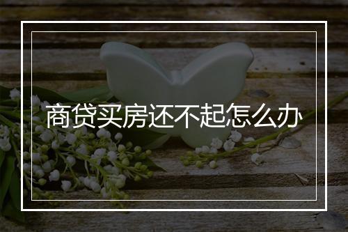 商贷买房还不起怎么办