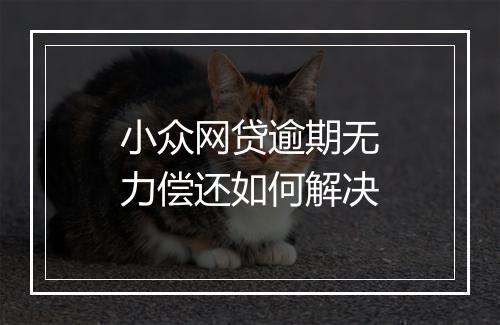 小众网贷逾期无力偿还如何解决
