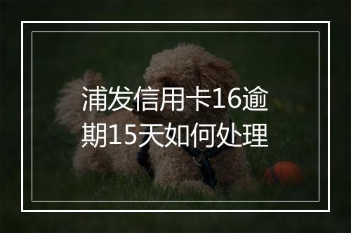 浦发信用卡16逾期15天如何处理