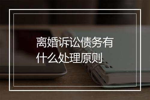 离婚诉讼债务有什么处理原则