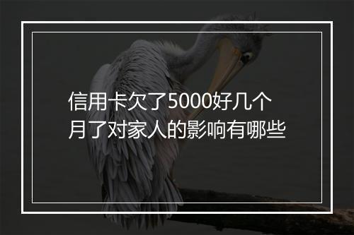 信用卡欠了5000好几个月了对家人的影响有哪些
